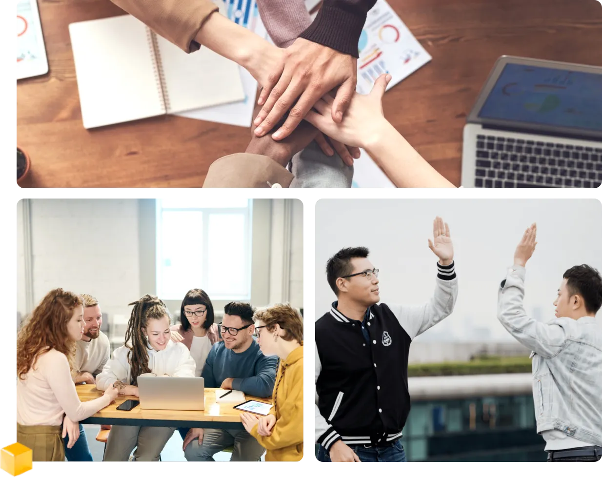 DOMXEE理念-我们认为企服应该是快速和高效的